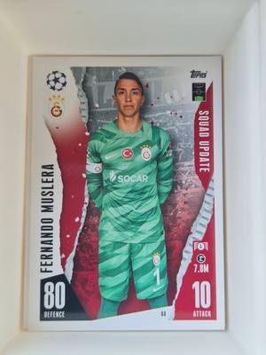 Fernando Muslera – Galatasaray – Topps Match Attax UEFA Champions League Squad Update #44 Base – Galatasaray – Match Attax gyűjtői kártya